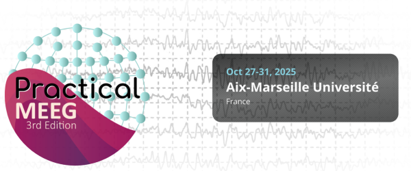 Practical MEEG 2025